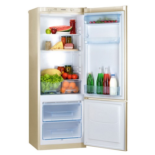 Двухкамерный холодильник Pozis RK - 102 бежевый фото