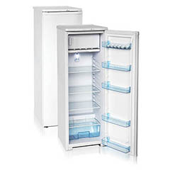 Однокамерный холодильник Бирюса 106 фото
