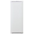 Однокамерный холодильник Бирюса 111 фото
