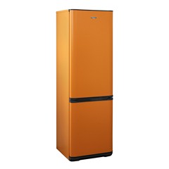 Двухкамерный холодильник Бирюса T 127 фото