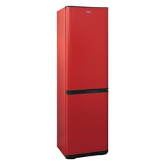 Двухкамерный холодильник Бирюса H149 фото