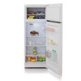 Двухкамерный холодильник Бирюса 6035 фото
