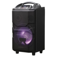 Акустическая система NATIONAL NSM-V550 фото